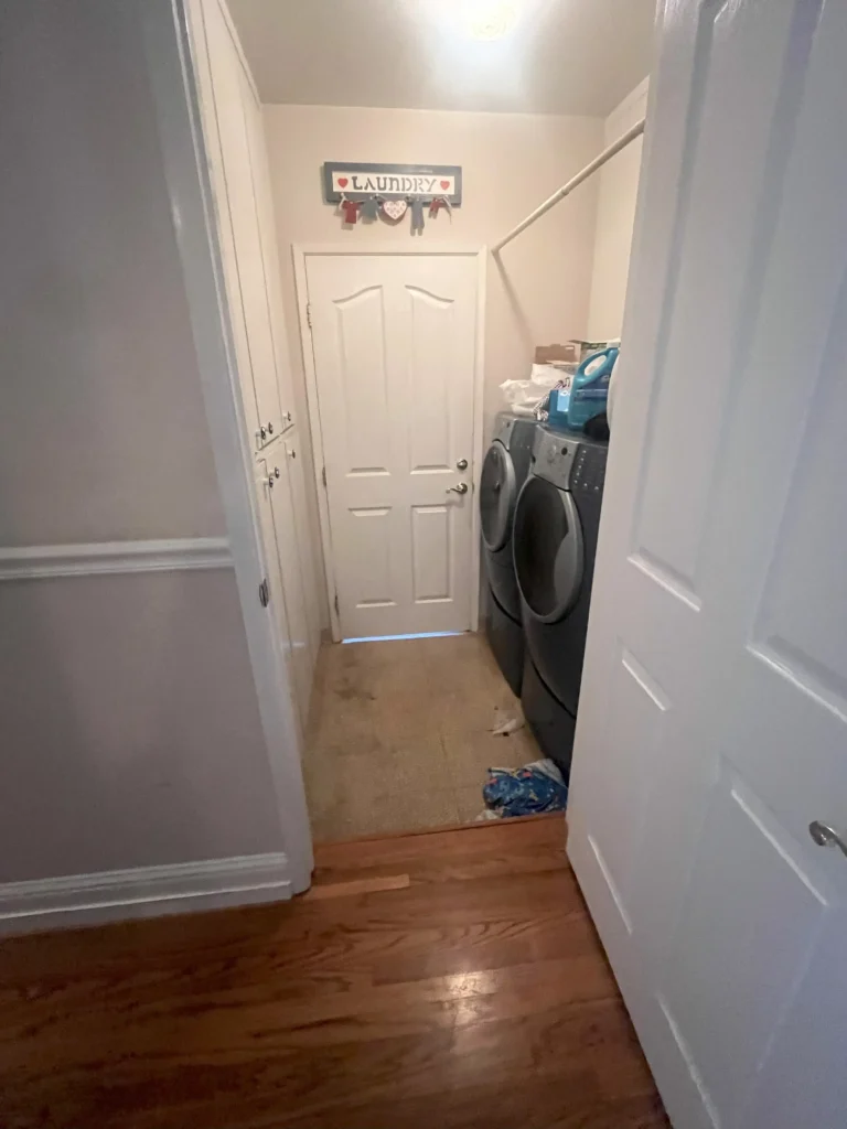 Dante_laundry room